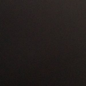 Meet your Posher, Evanna